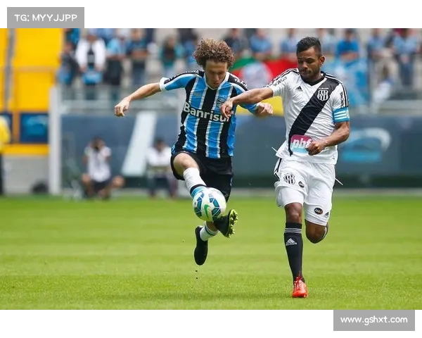 解放者杯VAR误判调查报告发布 南美足联正式道歉并承诺改进 解放者杯VAR误判调查报告发布 南美足联正式道歉并承诺改进